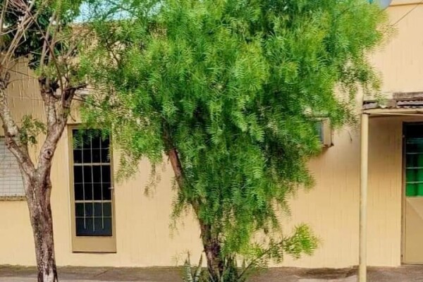 Vendo casa en P. Nuevo